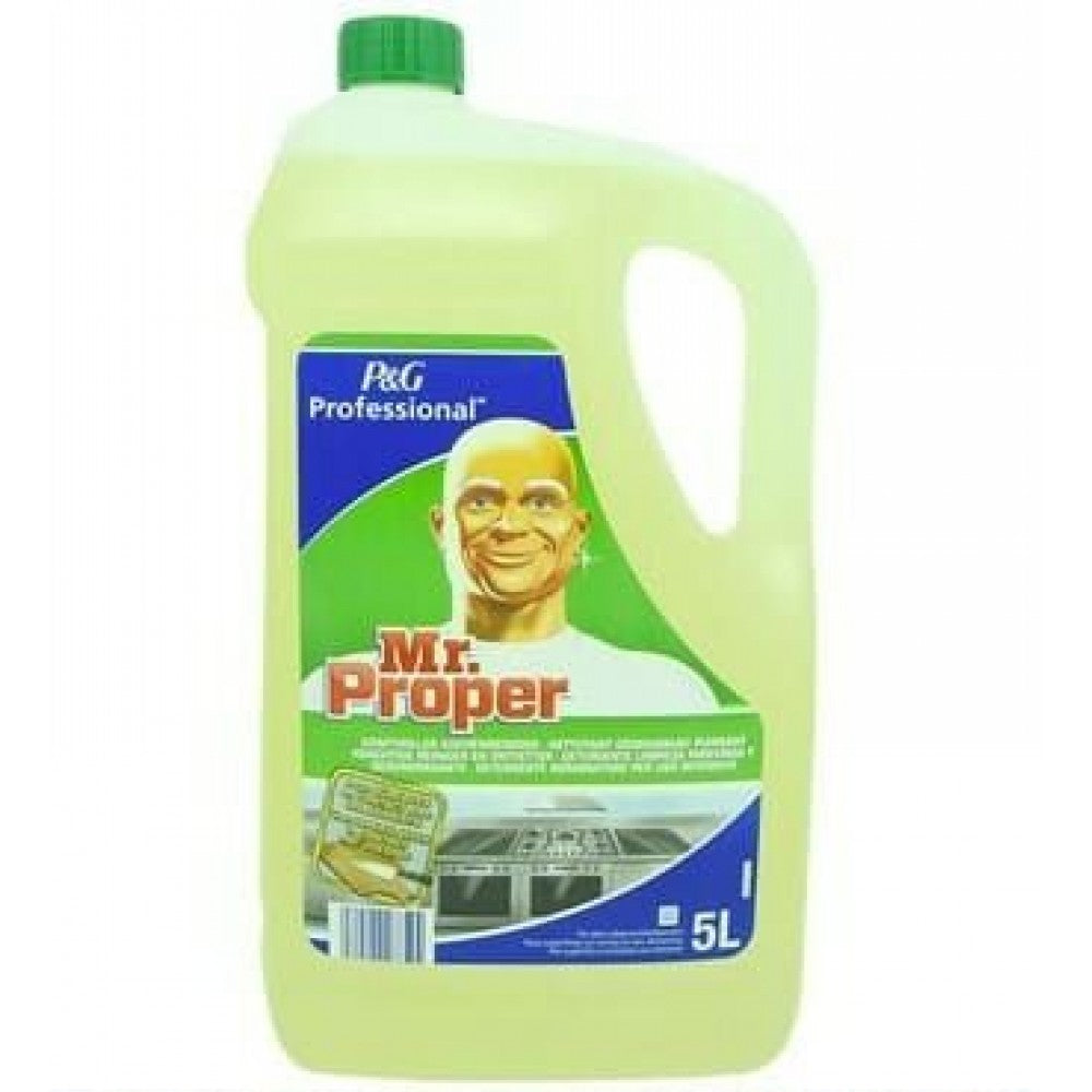 Mr. Proper solutie degresanta profesional bucatarie 5 L