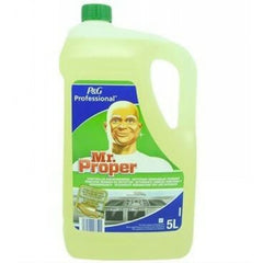 Mr. Proper solutie degresanta profesional bucatarie 5 L